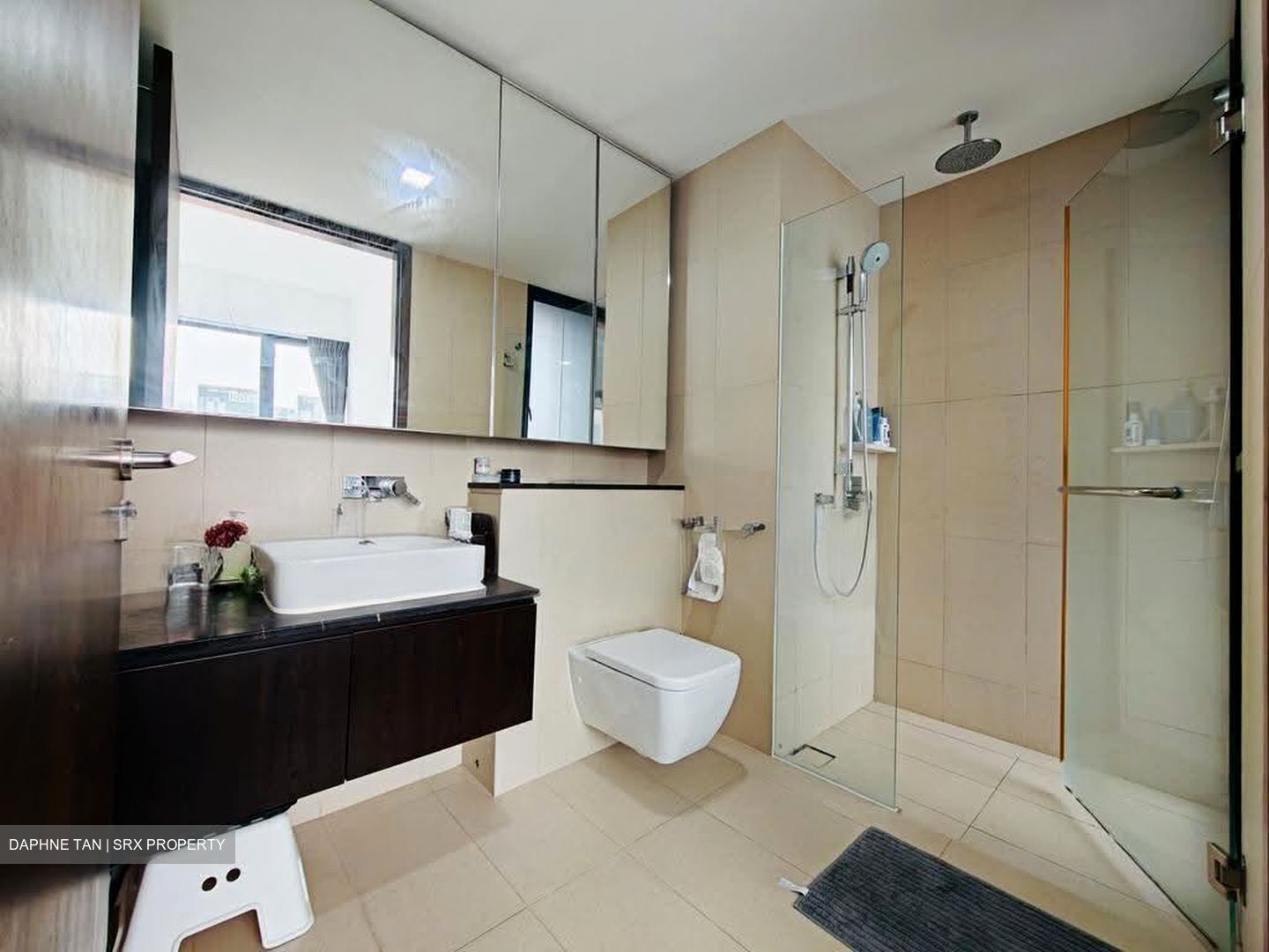 Spottiswoode Residences (D2), Condominium #618781431